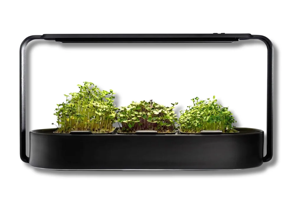 ingarden Microgreens Growing Kit