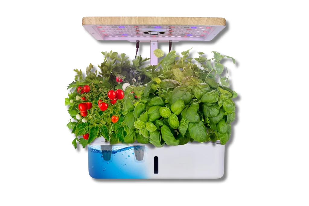 moistenland Hydroponics Growing System