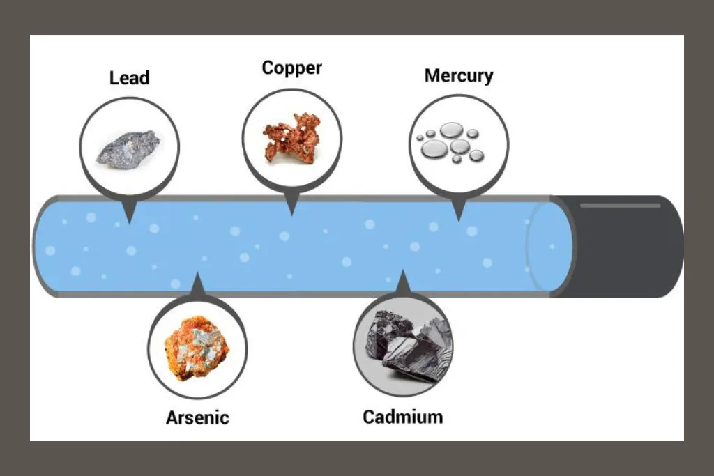 Contaminants Removed diagram and example