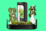 12 Best Indoor Hydroponic Growing Systems According to Engr. & Experts